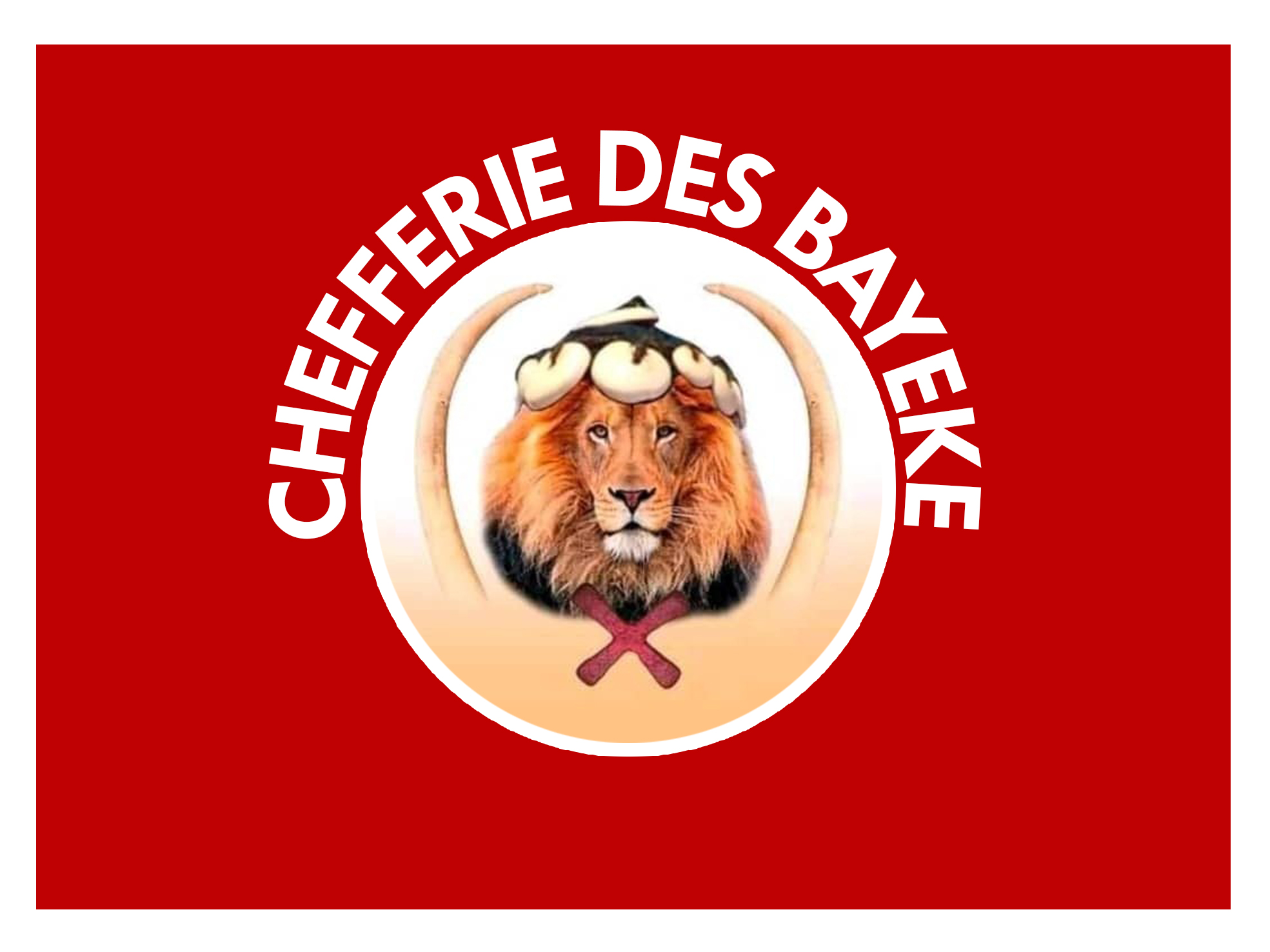 Partenaire 5